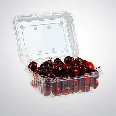 PET Hinged Containers