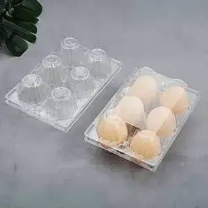 Egg Trays