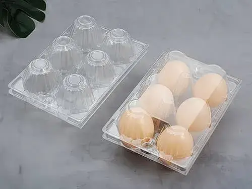 PET Egg Trays