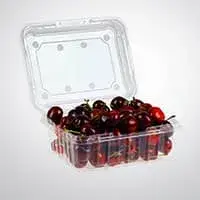 Clamshell Hinged Box