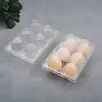Egg Trays