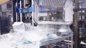 ATM-76/65 Four Station Thermoforming Machine for Fruit Hinged Box