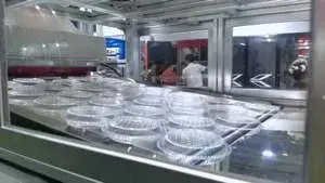 HY-63/78 Plastic Thermoforming Machine For BOPS Lids of Aluminum Foil Bowl