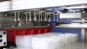 ATM-54/76 PP Thermoforming Machine For PP Takeaway Box