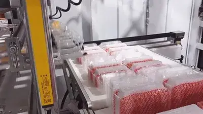 HY-70/80 Plastic Thermoforming Machine for Sweet Clamshell Box