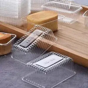 Plastic Thermoforming Machine (BOPS/PET/PS/PVC)