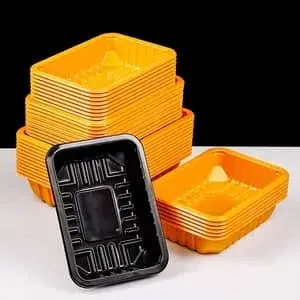 Plastic Thermoforming Machine (PP/PET/PS/PVC)