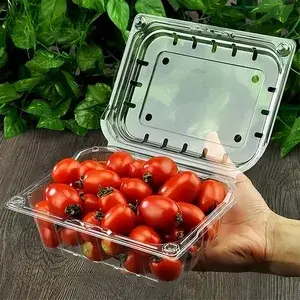 3/4 Station Plastic Thermoforming Machine (PP/PET/PS/PVC)