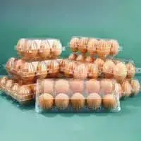 Plastic Thermoforming Machine (Multi-Station)