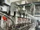 PET/PLA Plastic Sheet Extrusion Line