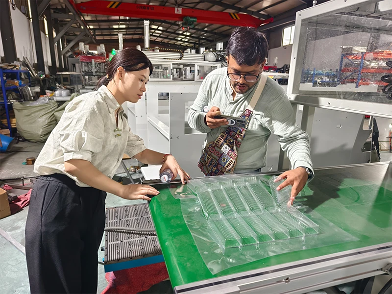 India - Single-Station Thermoformer for PET Cookie Trays